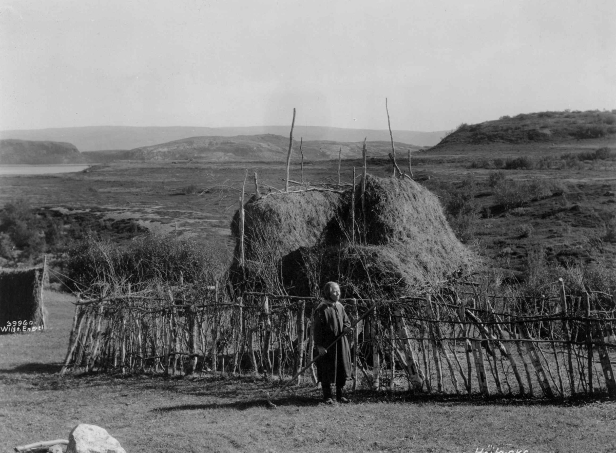 Høykrake og hesje, en kvinne med rake går forbi gjerdet. Ved Porsangerfjord 1933.
