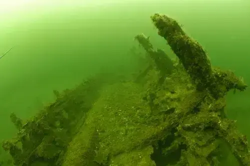 De nedbrutte skipsdelene fremstår nærmest som skjelletter eller naturlig formasjoner. De sprikende spantene og overgrodde konstruksjonsdelene gjør det vanskelig å se hva slags skipstype det er.