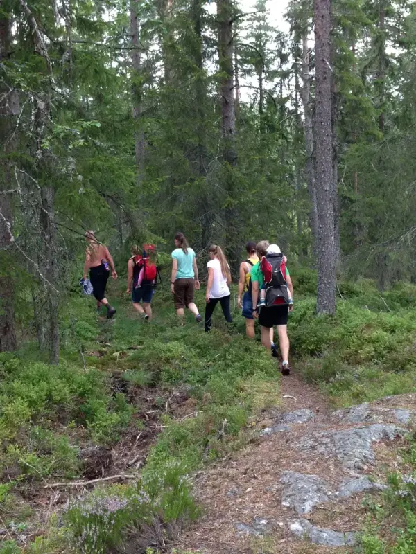 Setervegmarsj. Mennesker går på sti i skogen på sommeren.