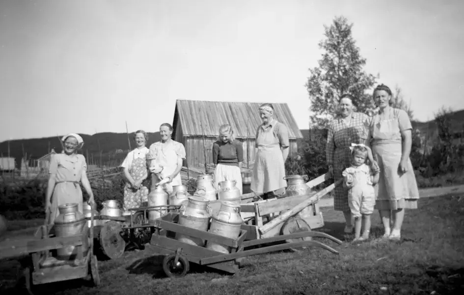 Sju budeier med mjølkespann på kjerrer