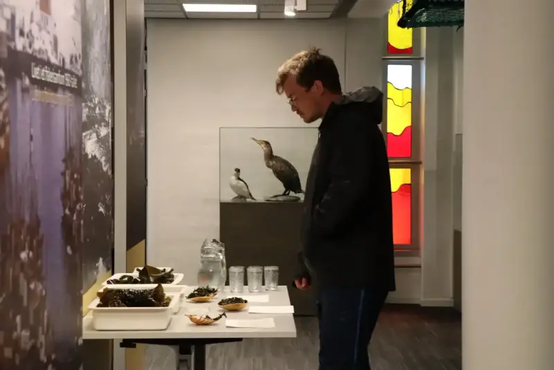 Presentasjon